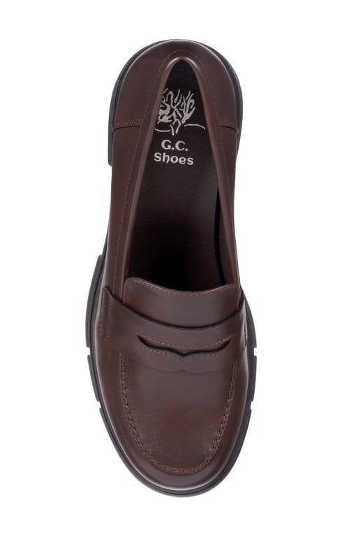 Gc Shoes Vance Loafer In Brown