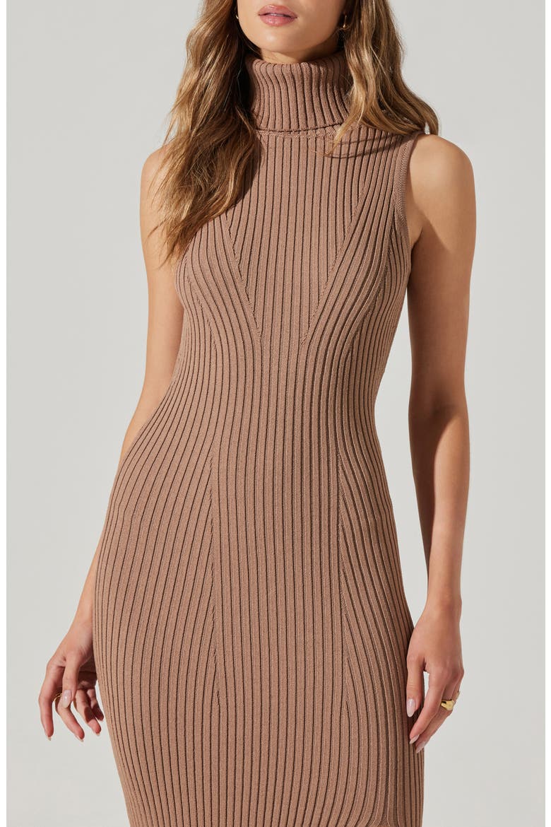 Channary Rib Midi Sweater Dress, Alternate, color, CHESTNUT