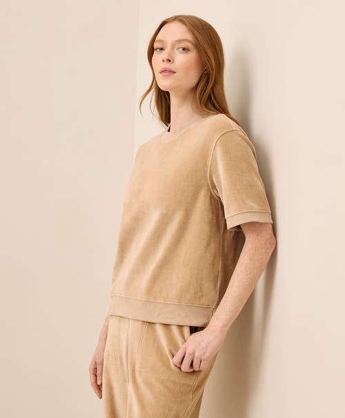 Pact Organic Cotton Pure Velour Sweatshirt Tee In Brown