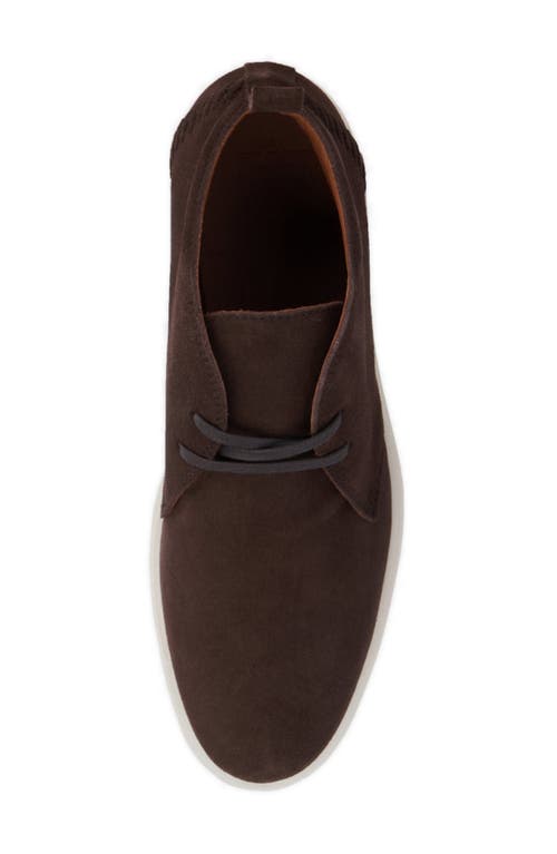 Aquatalia Florian Chukka Boot In Dark Brown