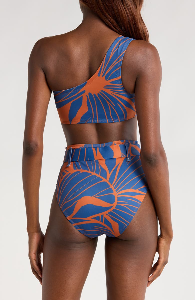 Hutch One-Shoulder Bikini Top, Alternate, color,