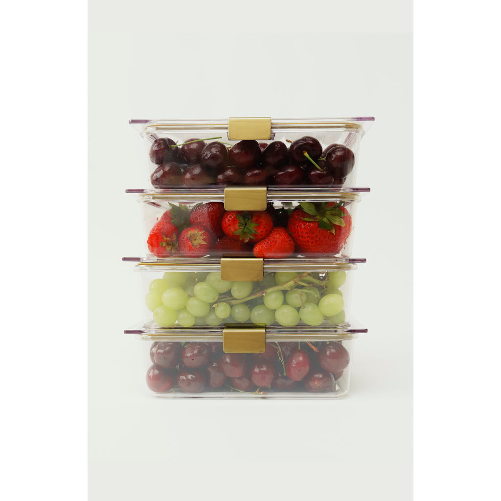 Modern Picnic THE CONTAINER - 4 SET in Clear  product