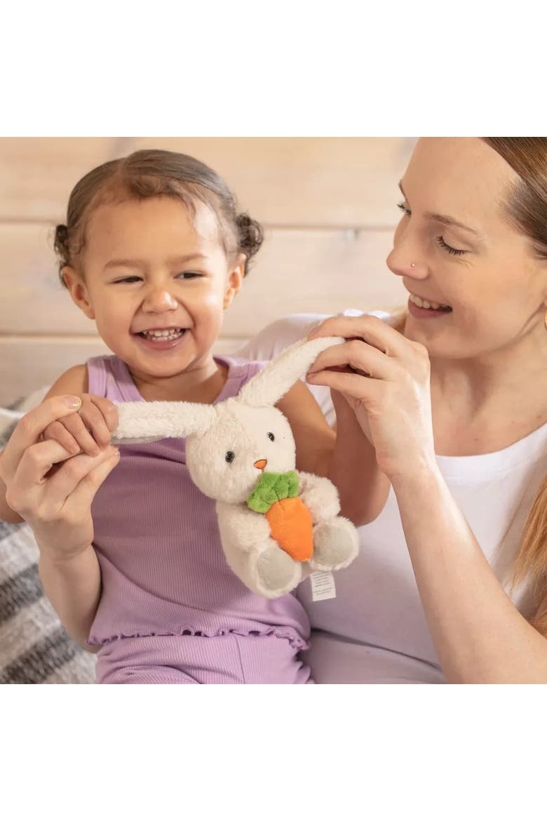 Easter Plush Bunny and Silicone Teether Gift Set 3-Piece, Alternate, color, Multicolor