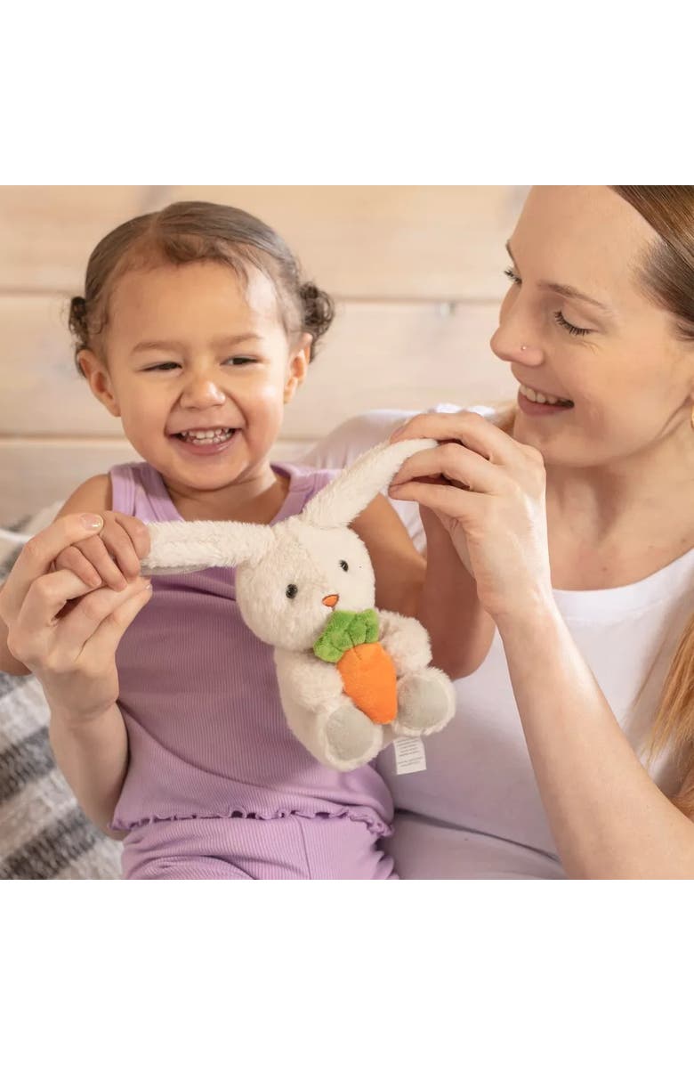 Sperric Easter Plush Bunny and Silicone Teether Gift Set 3-Piece, Alternate, color, Multicolor