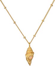 Satya Jewelry Resilient Spirit Opal Conch Shell Necklace