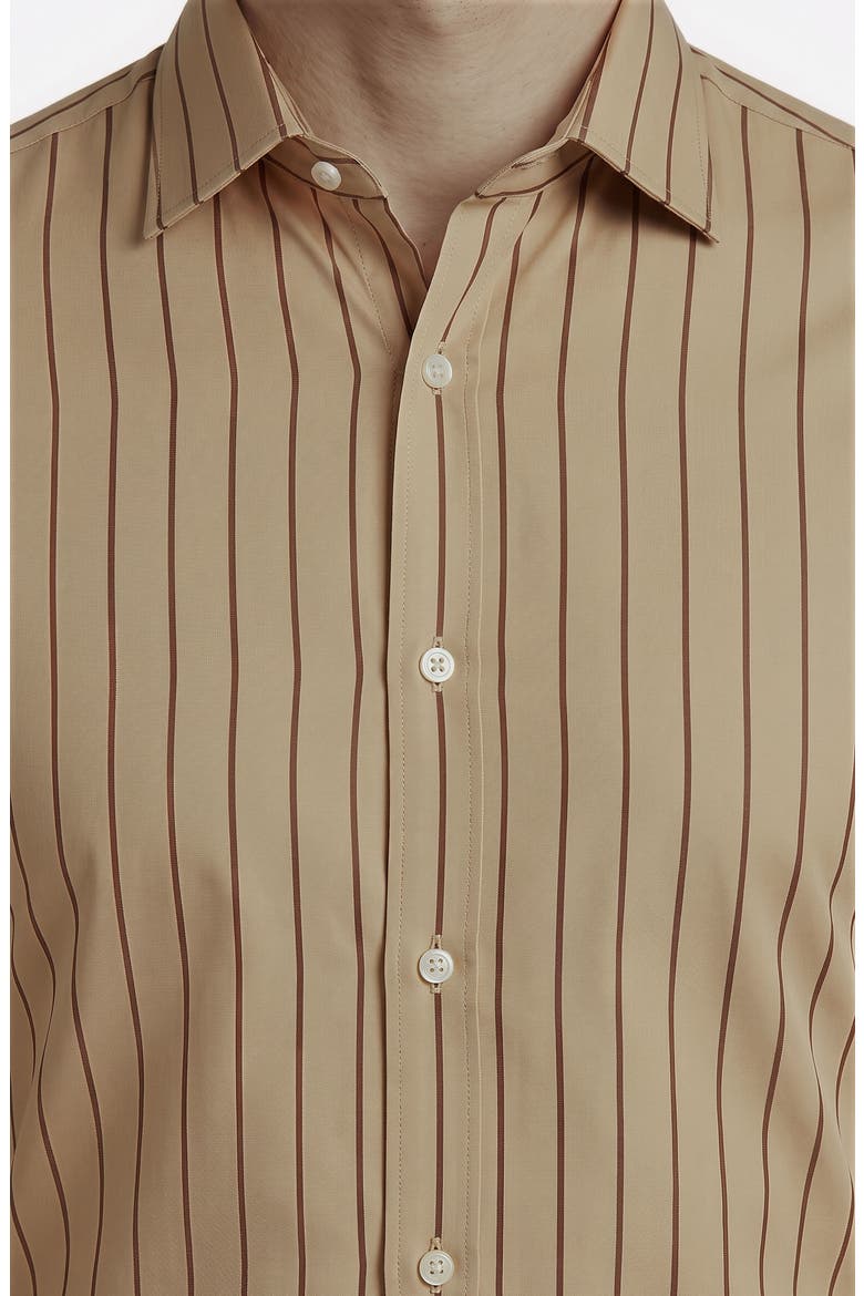 Striped Cotton Dress Shirt, Alternate, color, BEIGE