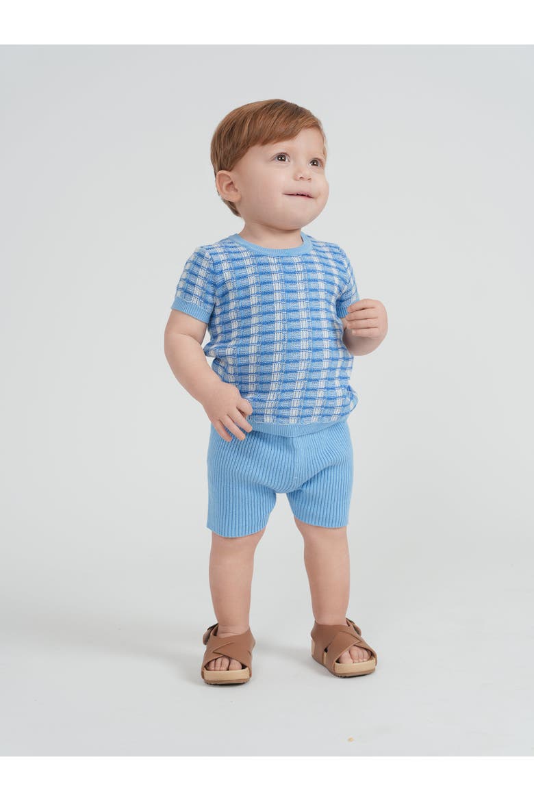 Basket Weave Short Sleeve Knit Sweater and Rib Short Set, Alternate, color, Light Blue