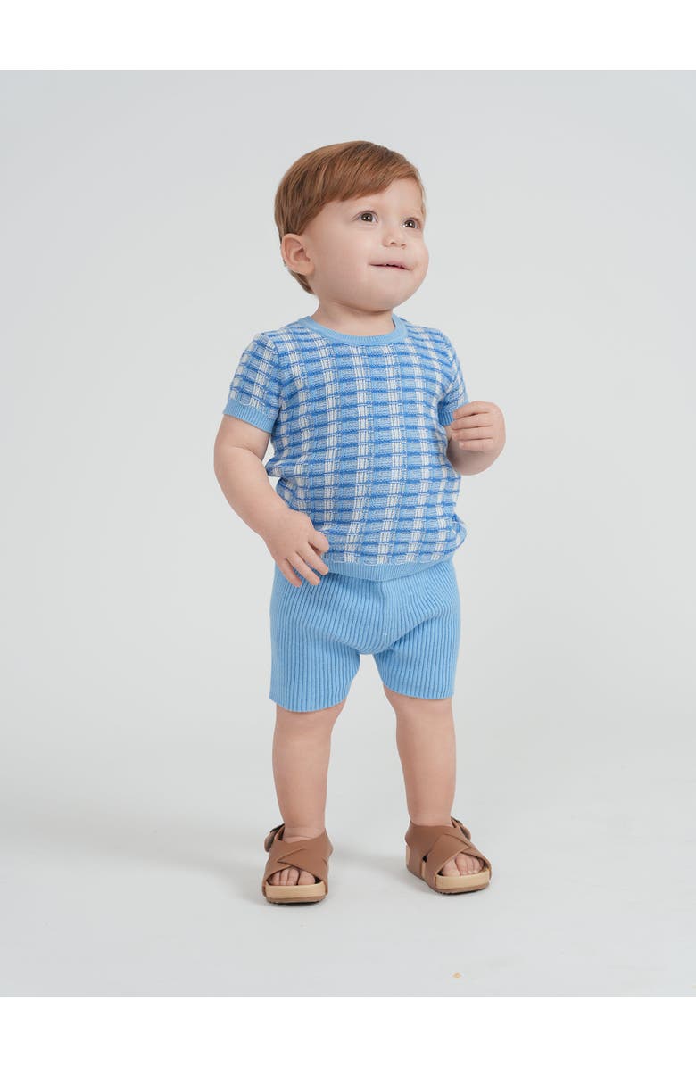 Mr. Mr. Basket Weave Short Sleeve Knit Sweater and Rib Short Set, Alternate, color, Light Blue
