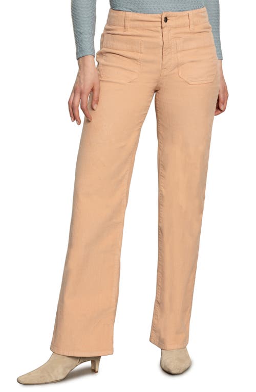 Sanctuary Marine Patch Pocket Stretch Cotton Corduroy Pants In Brown
