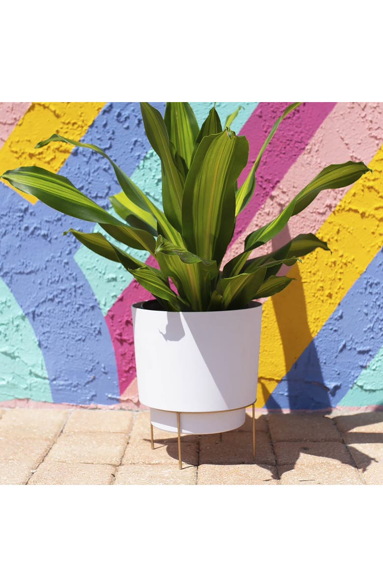 Bloem Hopson 14" Casper White Planter w/ Metal Gold Stand Made of Durable Resin, Alternate, color, 