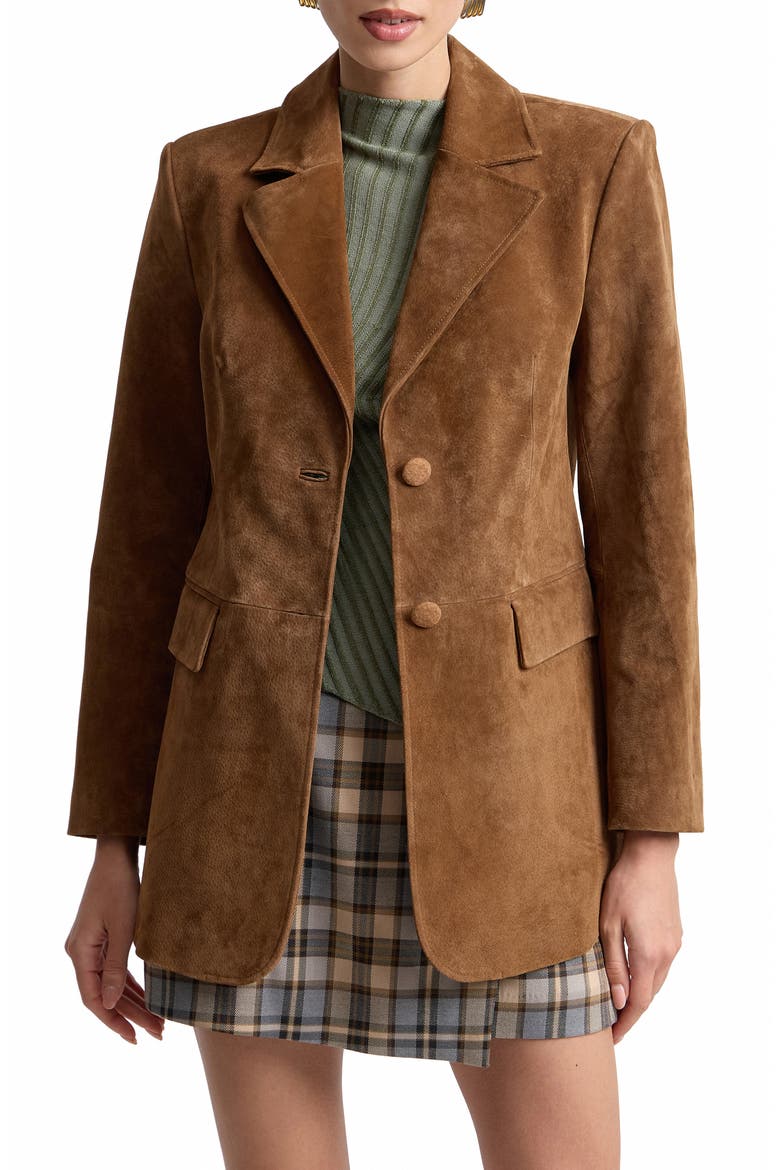 Longline Suede Blazer, Alternate, color, BRANDY