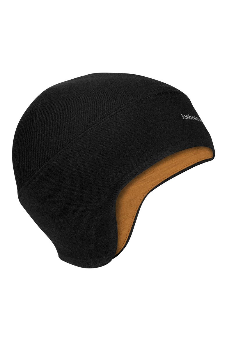 Quantum Merino Wool Lined Beanie, Main, color, BLACK/ CLOVE