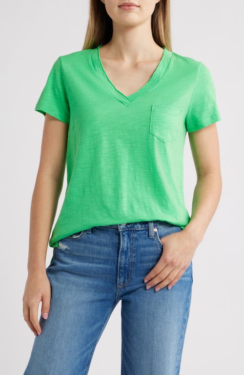 CASLONR CASLON(R) COTTON & MODAL V-NECK T-SHIRT