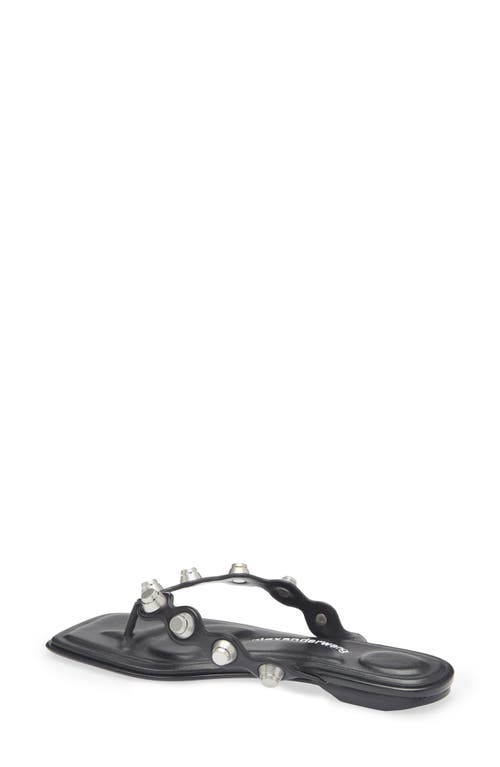 Alexander Wang Rexa Thong Flat Sandals In Black