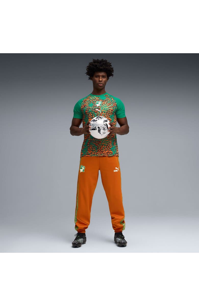 PUMA Men's Puma Green Ivory Coast National Team Pre-Match Jersey, Main, color, Green