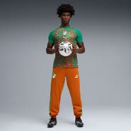PUMA Men's Puma Green Ivory Coast National Team Pre-Match Jersey