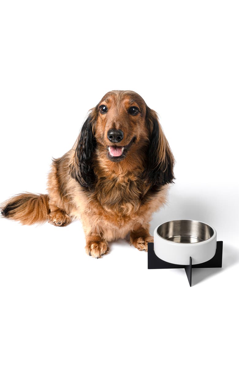 The Licker Store Intersecta Small/Medium Concrete and Stainless Steel Bowl 16oz (2 Cups) with Metal Stand Pet Feeder, Main, color, White/Black