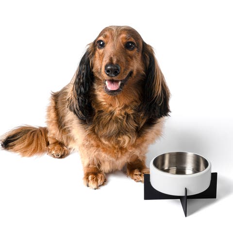 Intersecta Small/Medium Concrete and Stainless Steel Bowl 16oz (2 Cups) with Metal Stand Pet Feeder