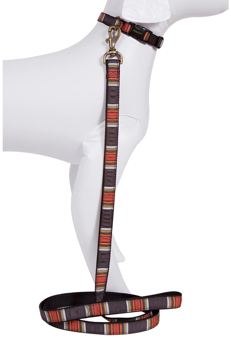 Acadia Dog Collar, Alternate, color, ACADIA
