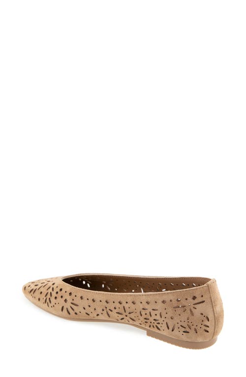 Splendid Latouche Perf Flat In Brown