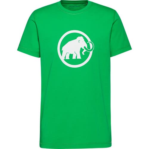 Mammut Core Classic T-shirt In Multi