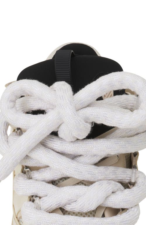 Lanvin Curb Sneakers In Leather With Snake Laces In Multi