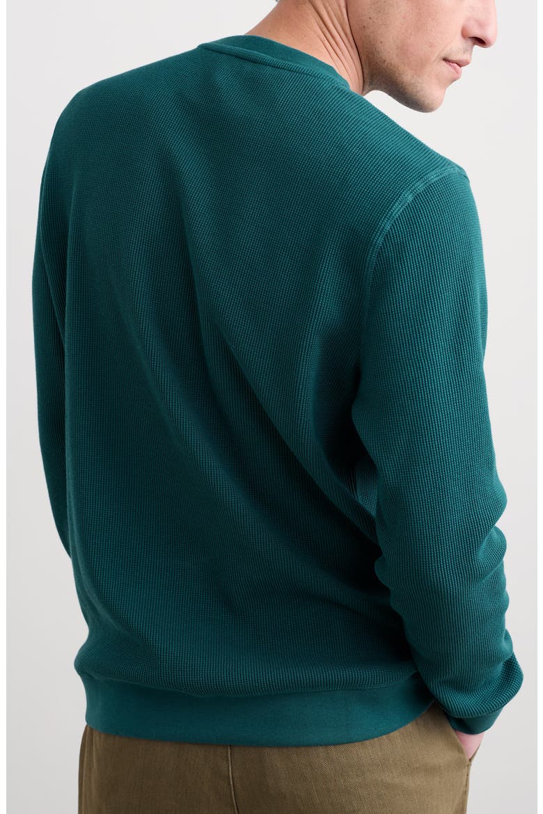Jackline Waffle Knit Organic Cotton T-Shirt, Main, color, KINGFISHER