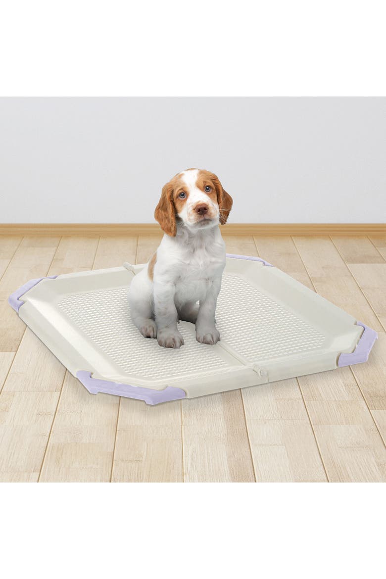 Mesh Potty Holder in Lavender, Training Tray for Dogs, Alternate, color, Multicolored