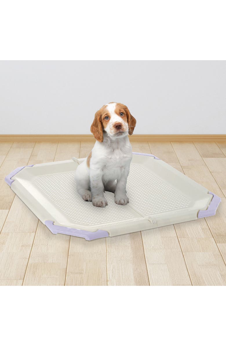 Richell Mesh Potty Holder in Lavender, Training Tray for Dogs, Alternate, color, Multicolored