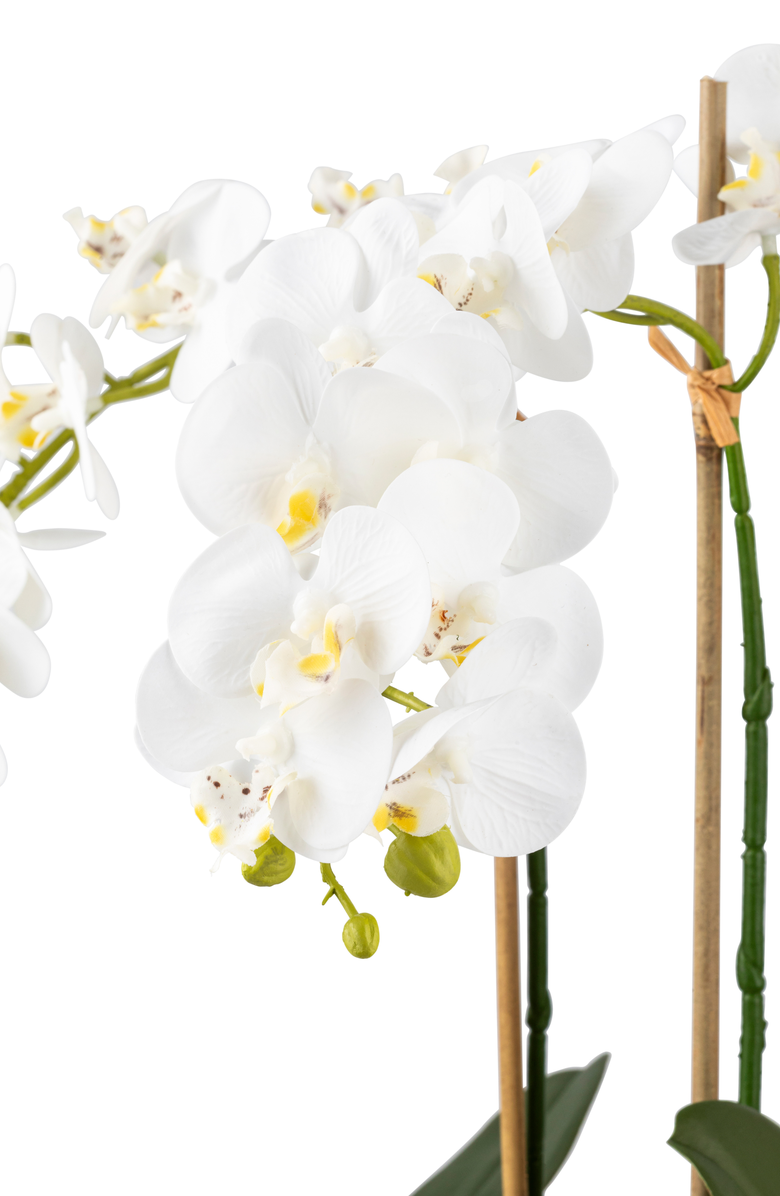 CocoBella Ciara RealTouch Orchid Planter, Alternate, color, Snow