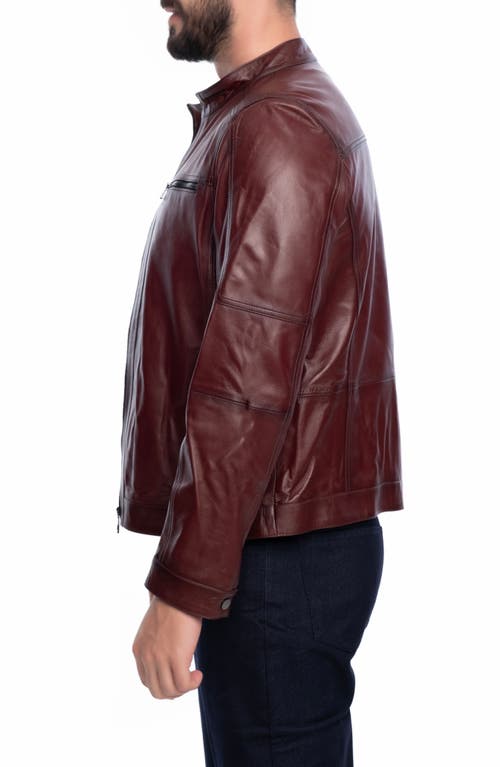 Vellapais Soft Leather Jacket In Burgundy