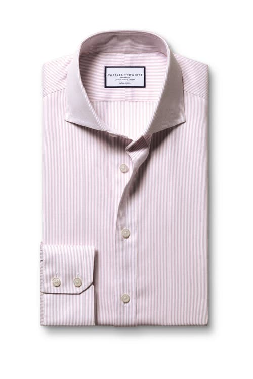 Charles Tyrwhitt Non-iron Twill Stripe Shirt In Animal Print