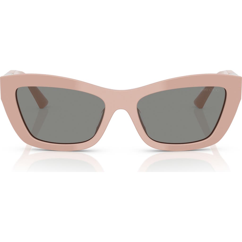Jimmy Choo 54mm Cat Eye Sunglasses In Pink