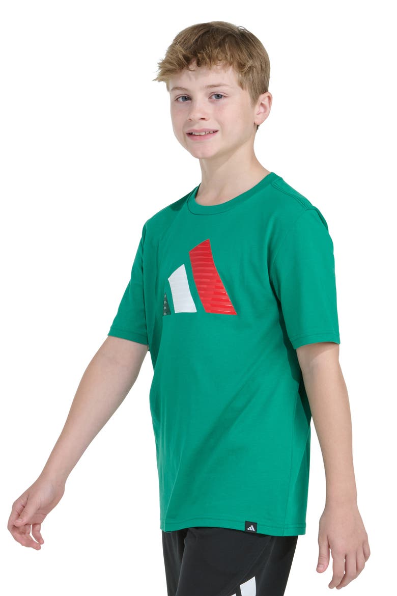 Kids' Nations Badge of Sport Graphic T-Shirt, Alternate, color, BOLD GREEN