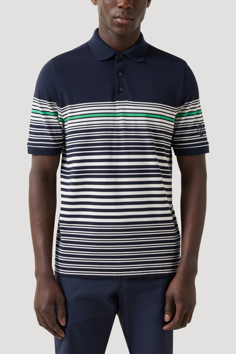 Jannes Polo Shirt, Alternate, color, Navy blue/white/green