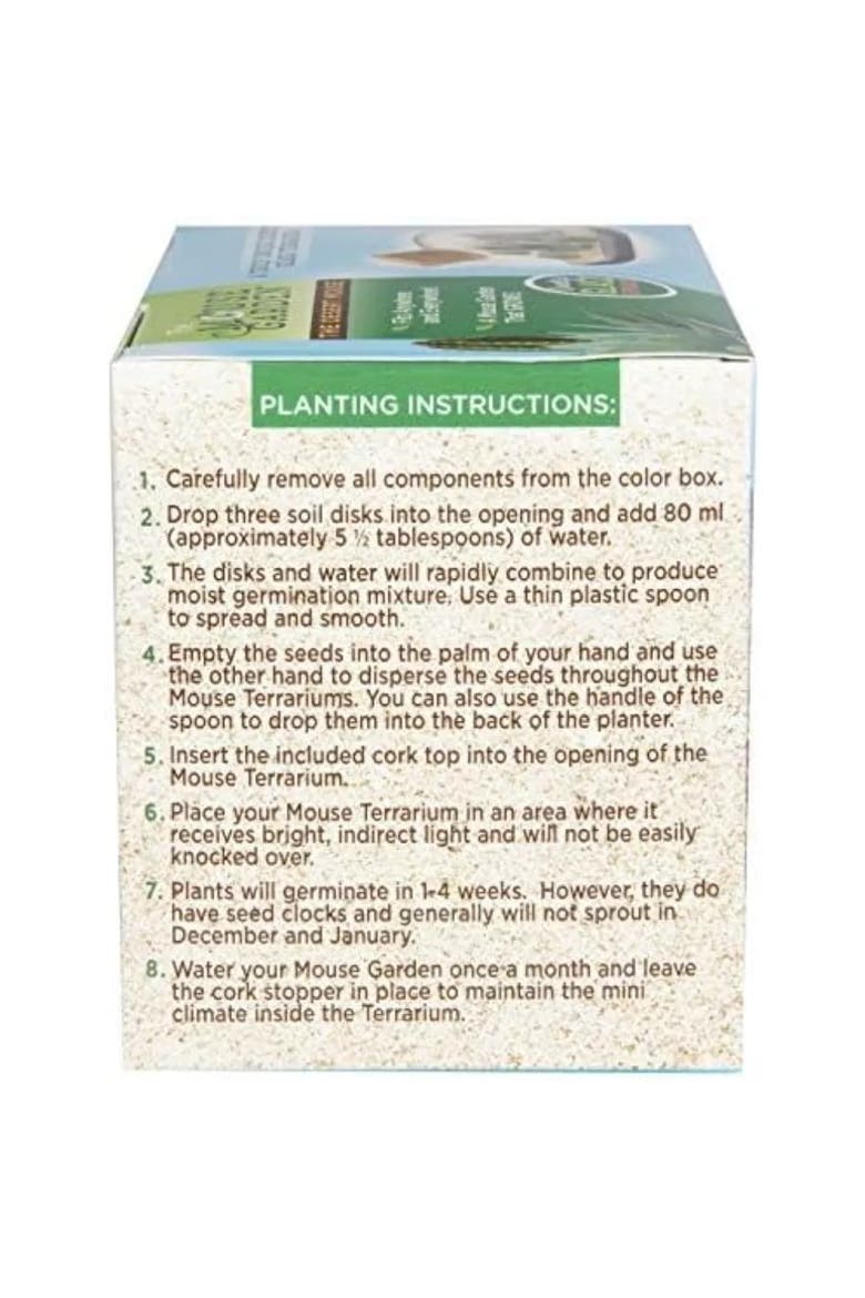 Mini Office Cactus Glass Terrarium Starter Kit with Complete Supplies - The Desert Mouse Tiny Garden, Alternate, color, None