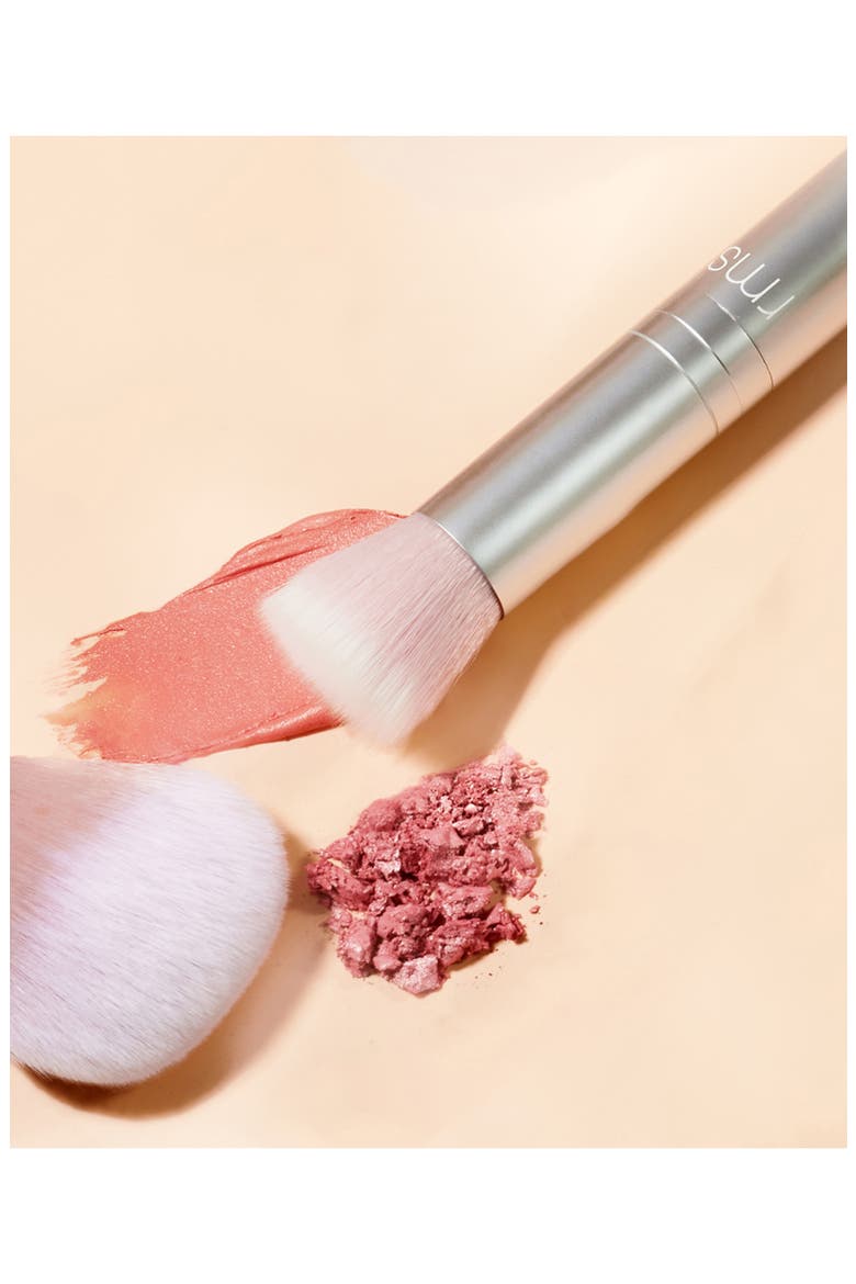 Skin2Skin Powder Blush Brush, Alternate, color, NO COLOR