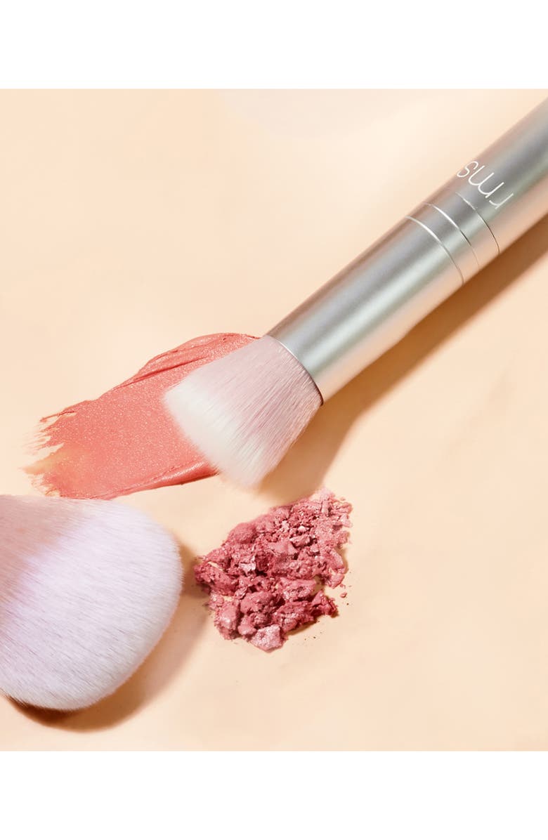 RMS Beauty Skin2Skin Powder Blush Brush, Alternate, color,