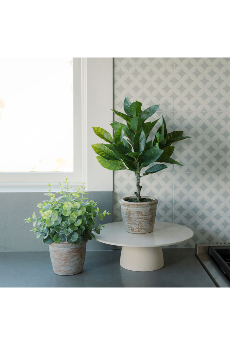 10" Eucalyptus and 16" Citrus Faux Topiary Set, Alternate, color, Green
