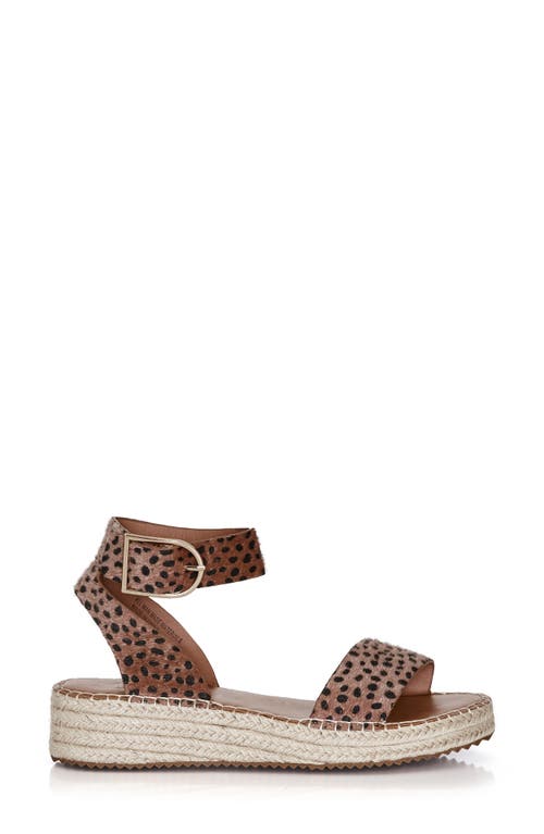 City Chic Melody Platform Espadrille Sandal