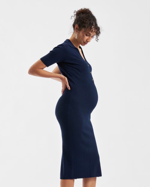 Ripe Maternity Maddy Knit Polo Dress In Blue