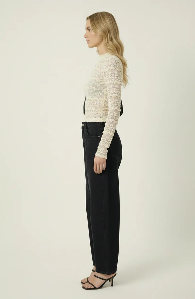 Modenaire Sheer Lace Long Sleeve Top with Scalloped Mock Neck, Alternate, color, 