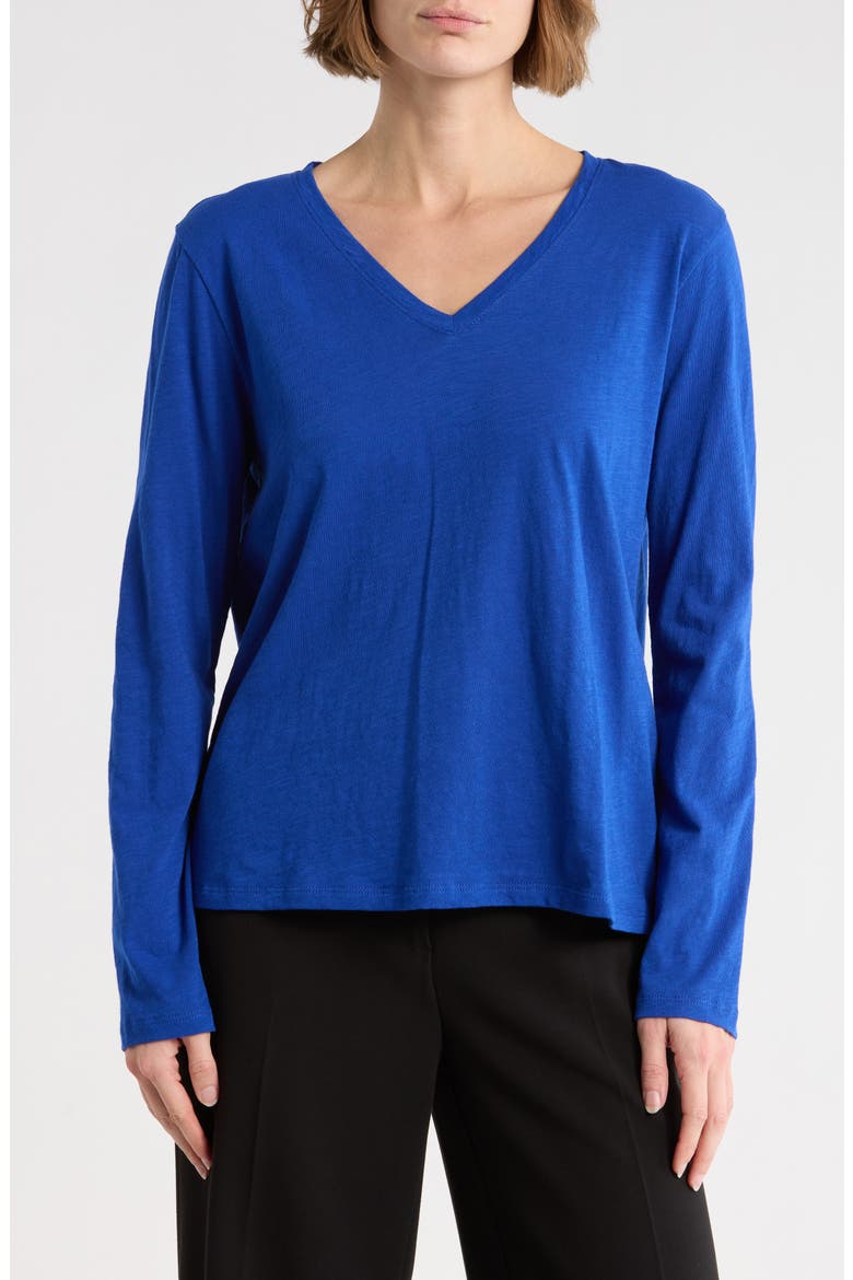 V-Neck Easy Organic Cotton T-Shirt, Main, color, LAPIS