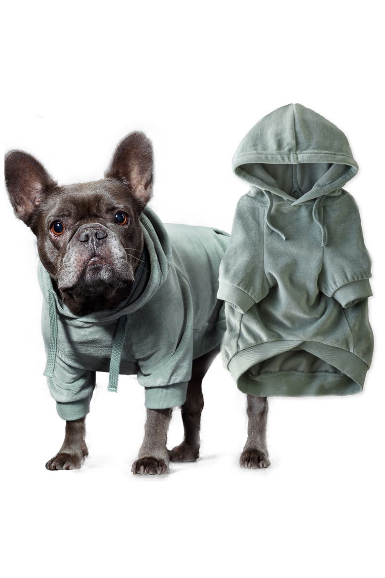 Cooper II Velour Pet Hoodie, Alternate, color, SAGE