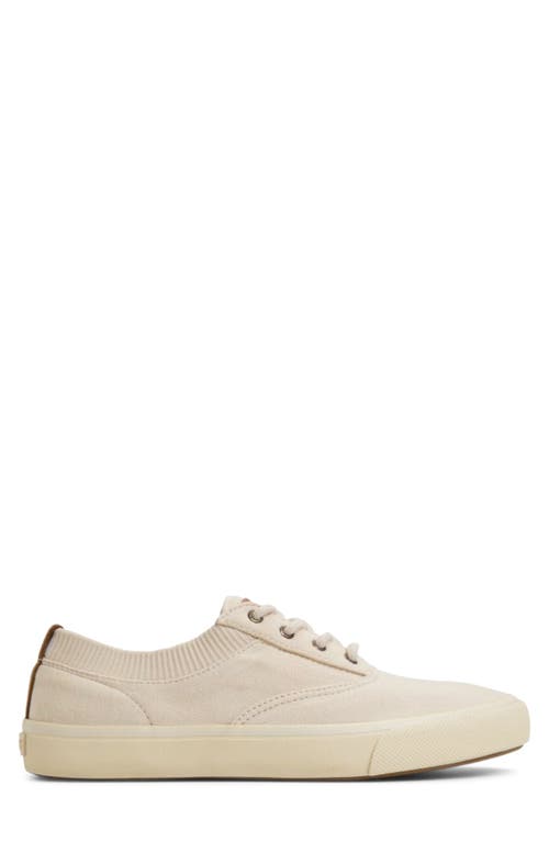 Sperry Top-sider® Sperry Striper Ii Cvo Sneaker In Off White