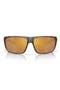  Matte Tortoise / Gold 580G