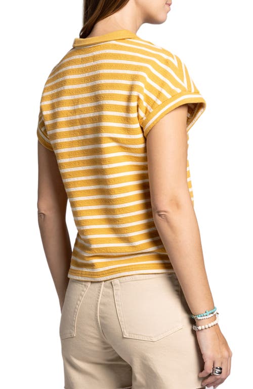 Thread & Supply Jenna Knit Polo