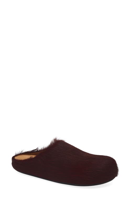 Marni Fussbett Sabot Genuine Calf Hair Clog In Brown