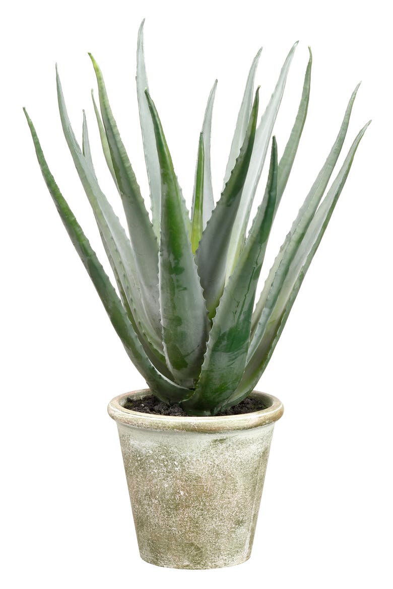 Agave Pot Decoration, Main, color, GREEN/ GREY