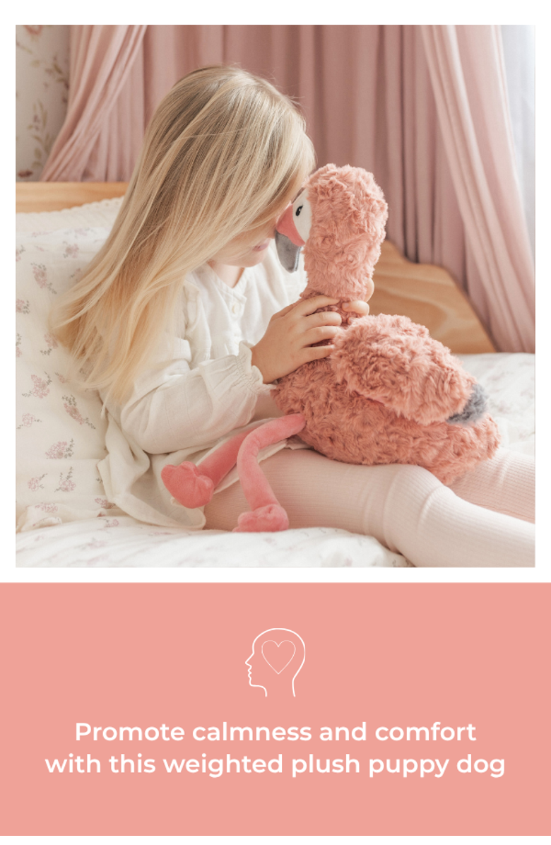 Mindful and Co Kids Microwavable and Weighted Plush Buddies, Alternate, color, Francesca The Flamingo